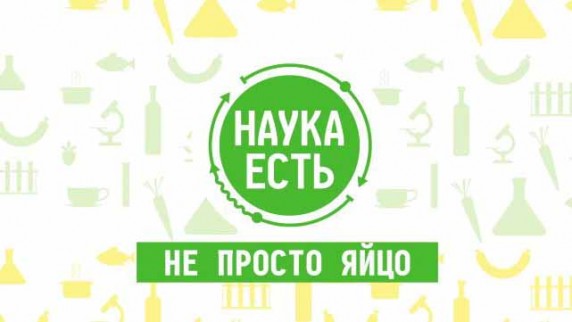 Наука есть. Яйцо (2017)