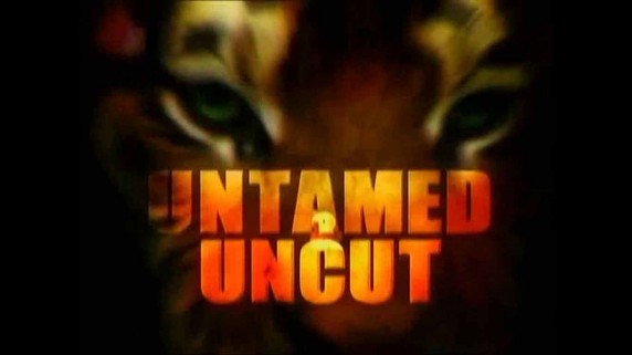 Дикие и Опасные 1 серия. Нападение акулы-няньки / Untamed and Uncut (2010)