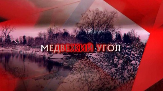 Следствие вели. Медвежий угол (2018)