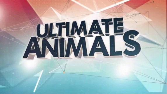 Увлекательная зоология: лучшее 1 серия. Вороны и волки / Ultimate Animals (2017)