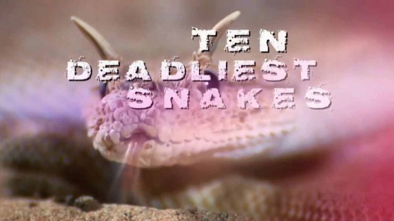 Десять смертельно опасных змей 4 серия. Филиппины / Ten deadliest snakes (2016)