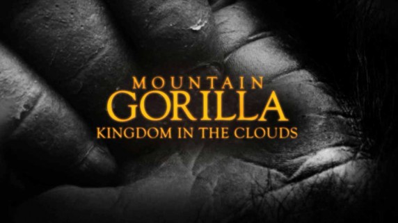 Горная горилла 1 серия. Царство в облаках / Mountain Gorilla (2010)