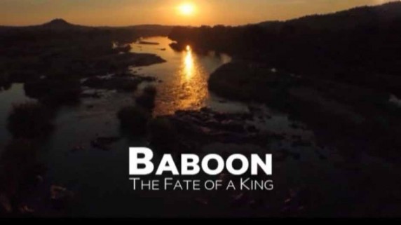 Король Бабуинов 3 серия / Baboon The Fate of a King (2015)