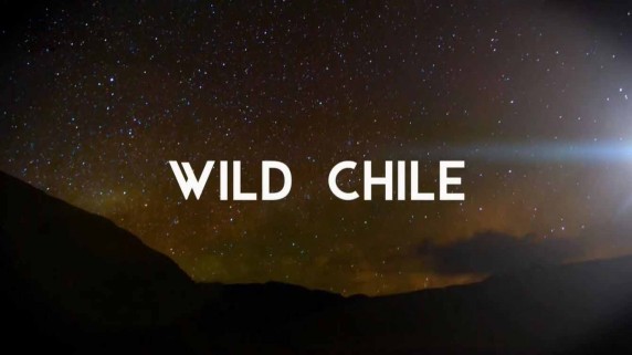 Дикая природа Чили 1 серия. Конец Земли / Wild Chile (2017)