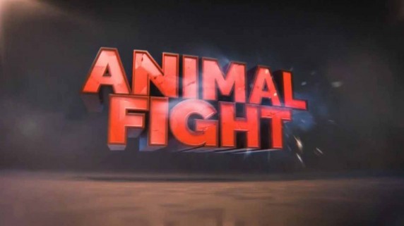 Бойцовский клуб для животных 6 сезон 1 серия. Кровная вражда / Animal Fight Club (2017)