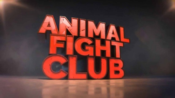 Бойцовский клуб для животных 4 сезон 1 серия. Схватка титанов / Animal Fight Club (2016)