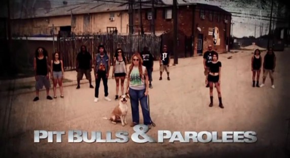 На свободу с питбулем 7 сезон 1 серия. Жизнь продолжается / Pit Bulls and Parolees (2016)