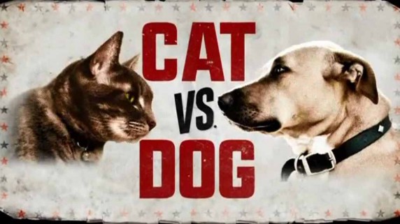 Кошка против собаки 5 серия. Я боюсь свою собаку / Cat Vs. Dog (2017)