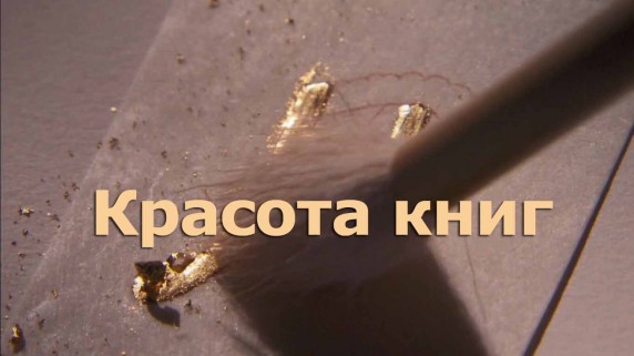 Красота книг 3 серия. Страна чудес в картинках (2011)