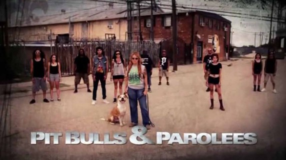 На свободу с питбулем 8 сезон 3 серия. Там, внизу / Pit Bulls and Parolees (2018)