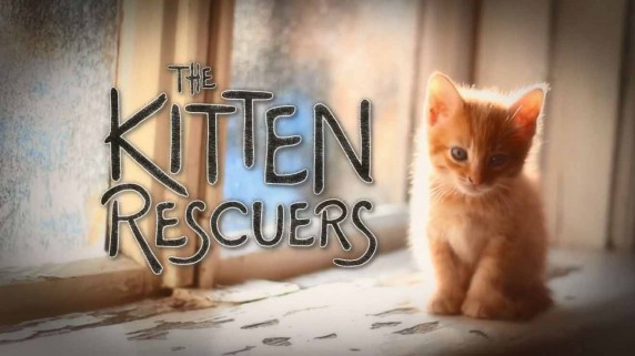 Спасители котят 3 серия / The Kitten Rescuers (2017)