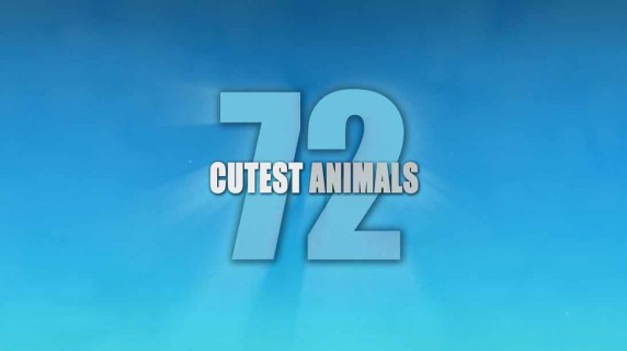 72 самых милых животных 1 серия / 72 Cutest Animals (2016)