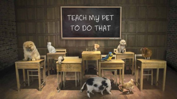 Обучите моего питомца 1 серия / Teach my pet to do that (2017)