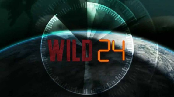 Дикие животные 24 часа. Кошачьи разборки / Wild 24 (2016)