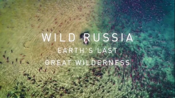 Дикая природа России 2 сезон 1 серия. Камчатка: Огненное кольцо / Wild Russia: Earth's Last Great Wilderness (2018)