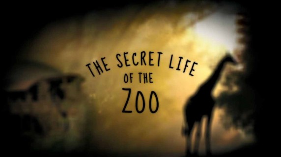 Тайная жизнь зоопарка 2 серия / The Secret Life of the Zoo (2016)