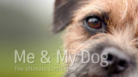 Я и моя собака: на пределе возможностей 2 серия / Me & My Dog: The Ultimate Contest (2017)