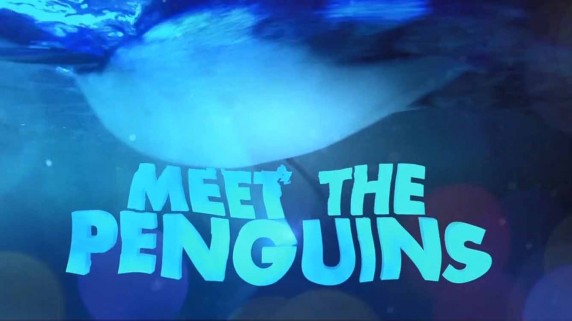 Знакомство с пингвинами 2 серия / Meet the Penguins (2017)