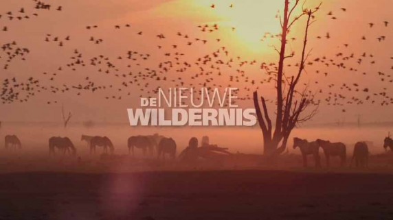 Новая дикая природа 1 серия. Весна / De nieuwe wildernis (2013)