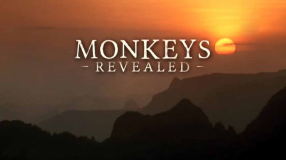 Все об обезьянах 2 серия / Monkeys Revealed (2014)