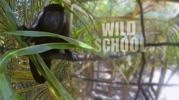 Дикая школа 1 серия. Ревуны / Wild School (2015)