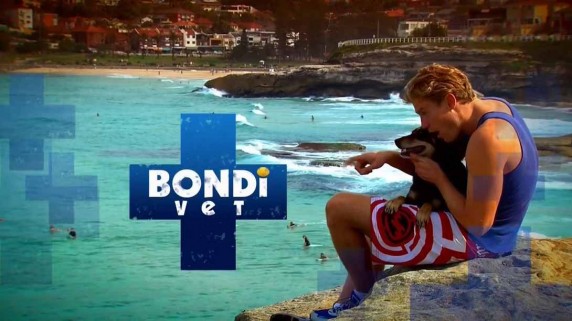 Ветеринар Бондай Бич 01 серия / Bondi Vet (2009)