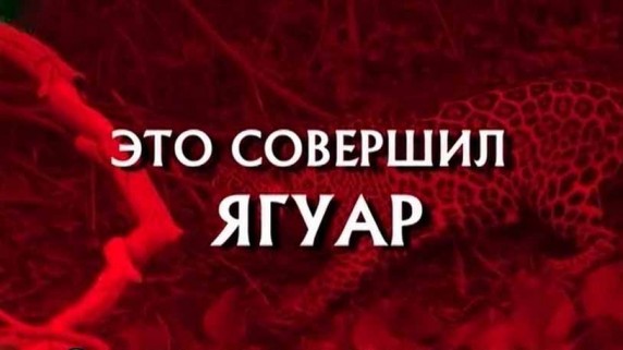 Следствие вели. Это совершил Ягуар (17.03.2019)