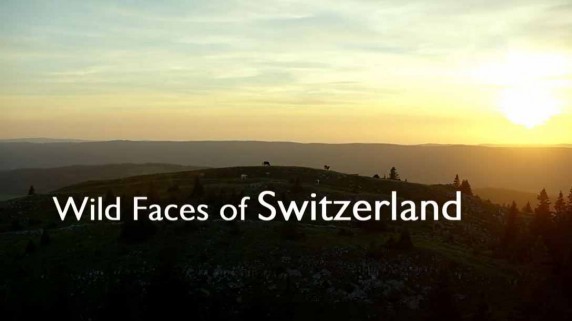 Дикая Швейцария 3 серия. Вода и лед / Wild Faces of Switzerland (2018)