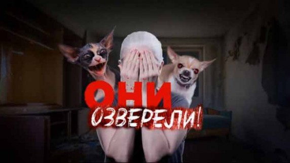 Они озверели!  Документальный спецпроект (26.04.19)