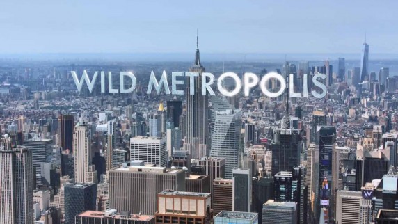 Дикие животные: Завоевание мегаполиса 1 серия / Wild Metropolis (2018)