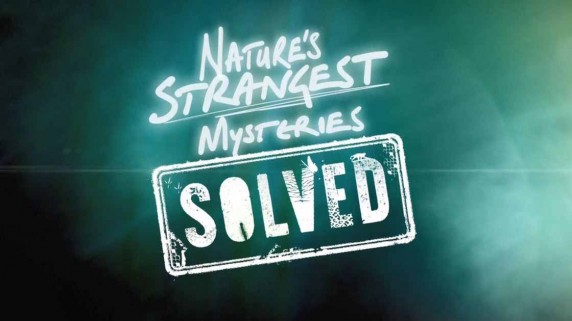 Секреты природы 1 серия. Искрящийся паук / Nature's Strangest Mysteries: Solved (2019)