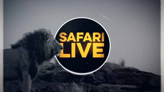 Сафари в прямом эфире: Миграция 3 серия / Safari Life (2019)