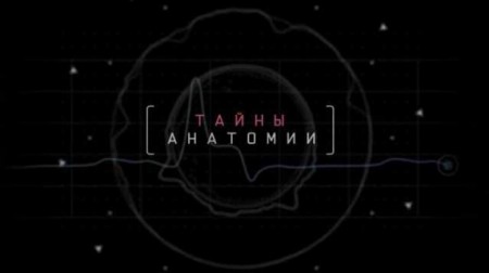 Тайны анатомии. Органы чувств 2 серия (2019)