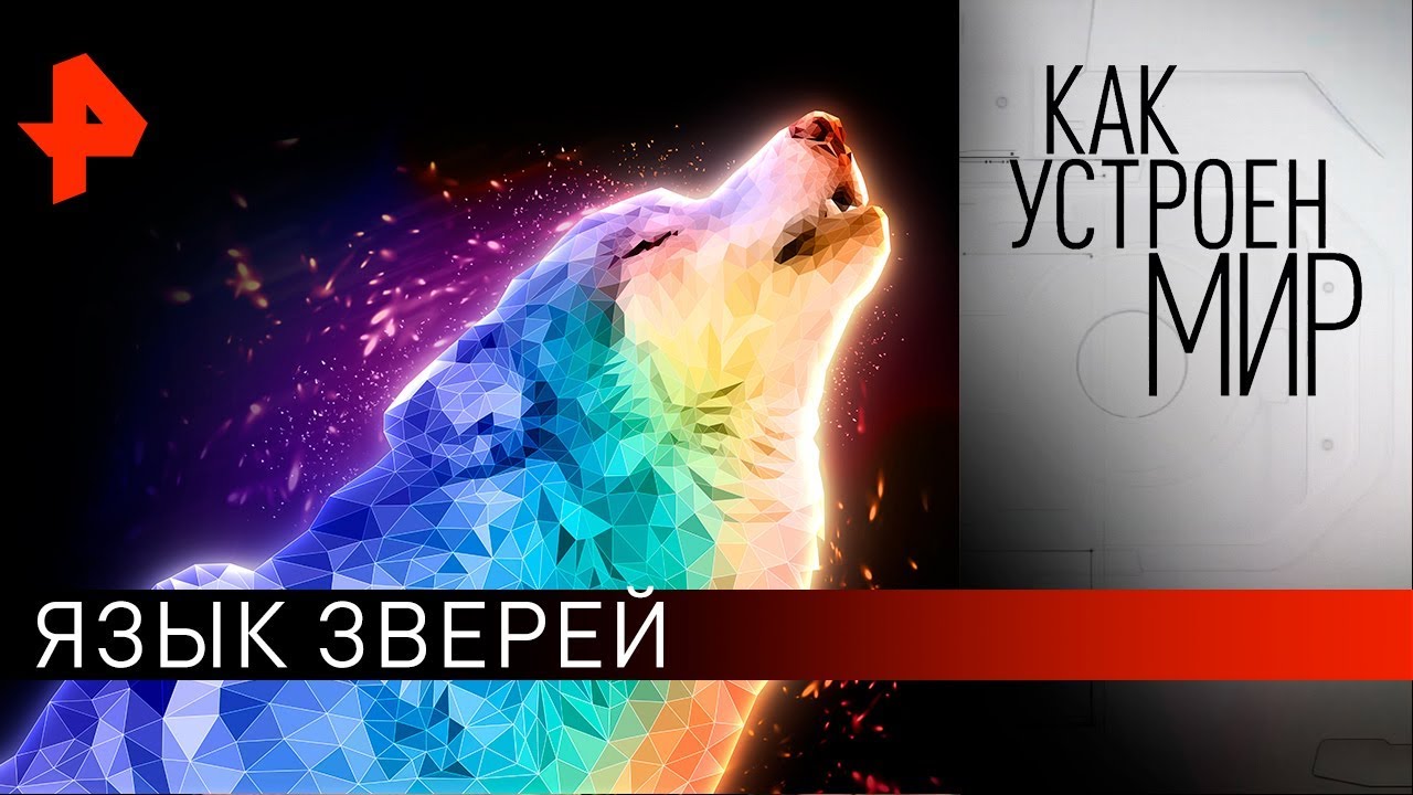 Язык зверей. Как устроен мир с Тимофеем Баженовым (26.11.19)