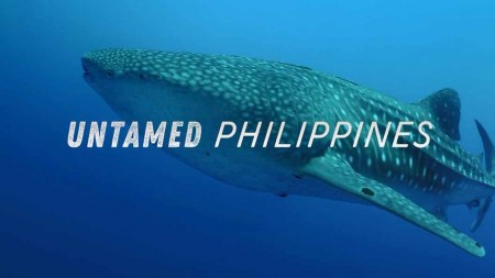 Дикая природа Филиппин. Скрытые чудеса / Untamed Philippines (2017)