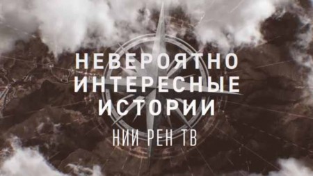 5 невероятных интересных историй. Невероятно интересные истории (20.01.2020)