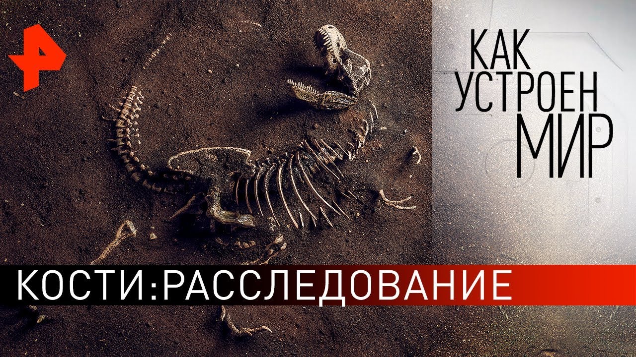 Кости: расследование. Как устроен мир с Тимофеем Баженовым (27.02.2020)