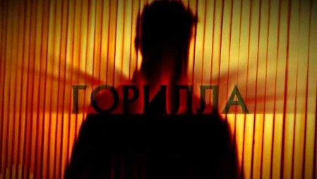 Следствие вели. Горилла (29.03.2020)