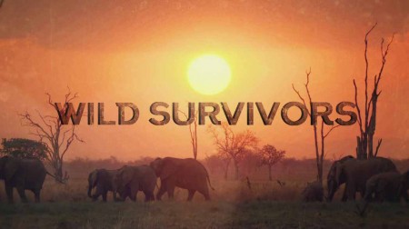 Выжить в дикой природе 1 серия. Звериная привлекательность / Wild Survivors (2017)