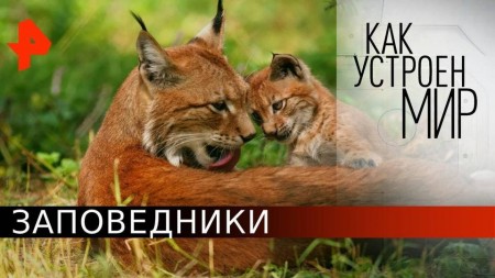 Заповедники. Как устроен мир с Тимофеем Баженовым (21.05.2020)