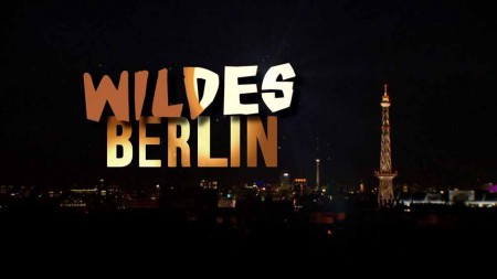 Дикая природа Германии 3 сезон 4 серия. Дикий Берлин / Wildes Deutschland (2013)