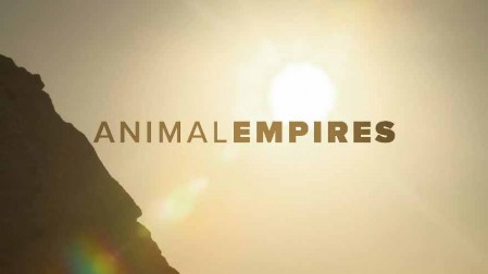 Животные империи 3 серия. Заповедные зоны / Animal Empires (2016)