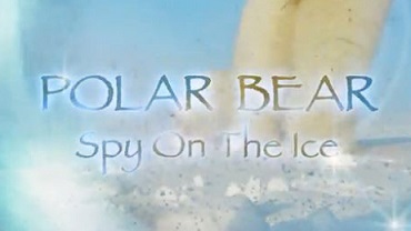 Белый медведь: Шпион во льдах / Polar Bears: Spy on the Ice (2011)