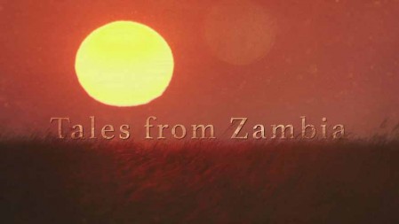 Замбийские истории 03 серия. Жизнь и смерть на равнинах / Tales from Zambia (2016)