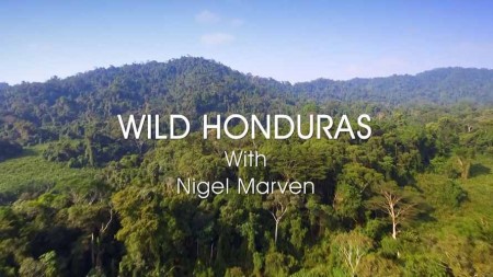 Дикая Центральная Америка с Найджелом Марвеном 01 серия. Гондурас / Nigel Marven's Wild Central America (2018)