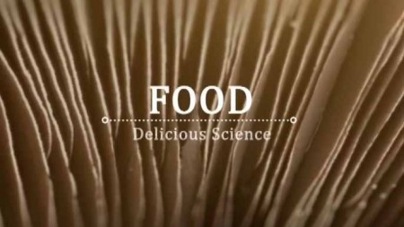 Вкусная наука 3 серия. Пища для мозга / Food — Delicious Science (2017)