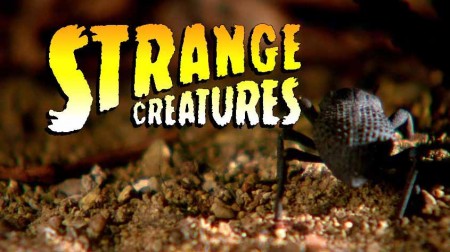 Странные существа 1 сезон 1 серия. Зловонные существа / Strange Creatures (2015)