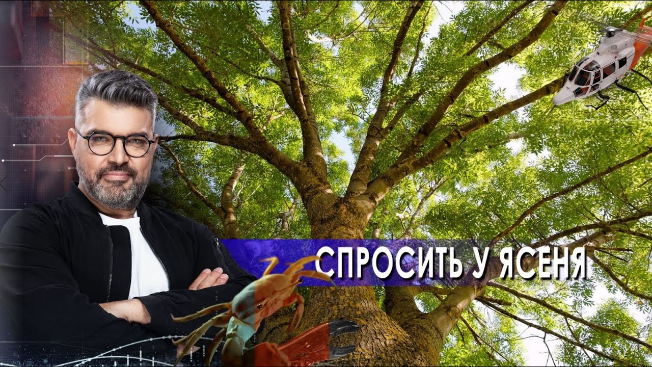 Вы давно хотели спросить у ясеня – и вот он заговорил! Знаете ли вы, что? (18.05.2021)