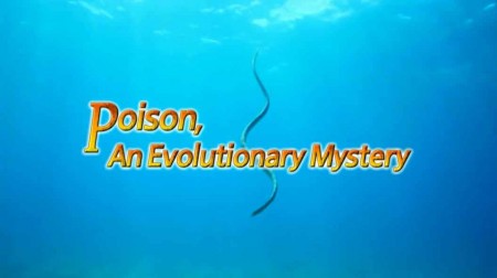 Яд. Достижение эволюции 2 серия. Яд и баланс экосистемы / Poison, an evolutionary mystery (2015)