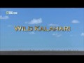 Дикая Калахари / Wild Kalahari (2014) HD